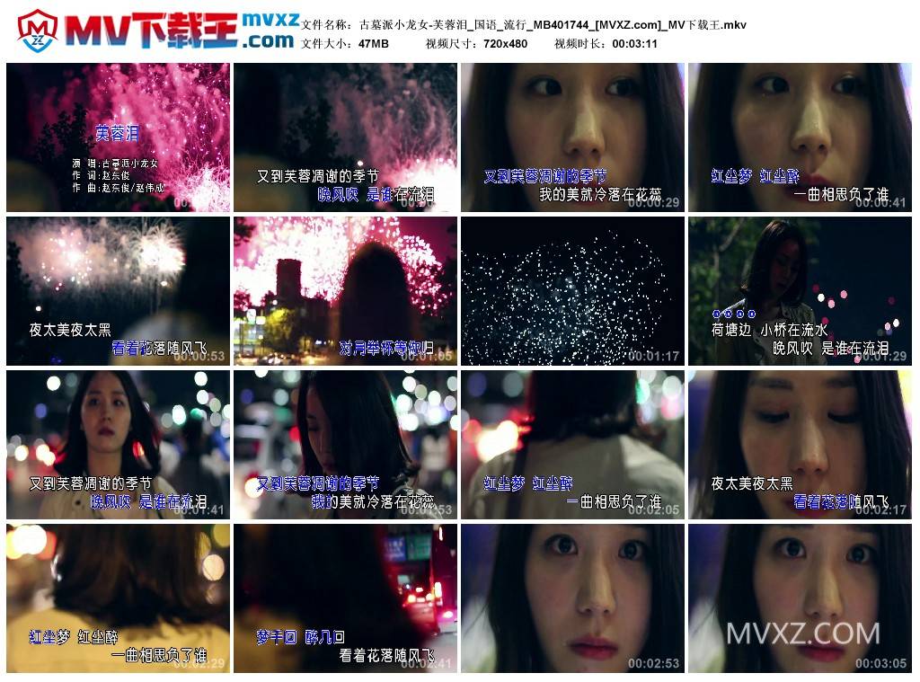 古墓派小龙女-芙蓉泪_国语_流行_MB401744